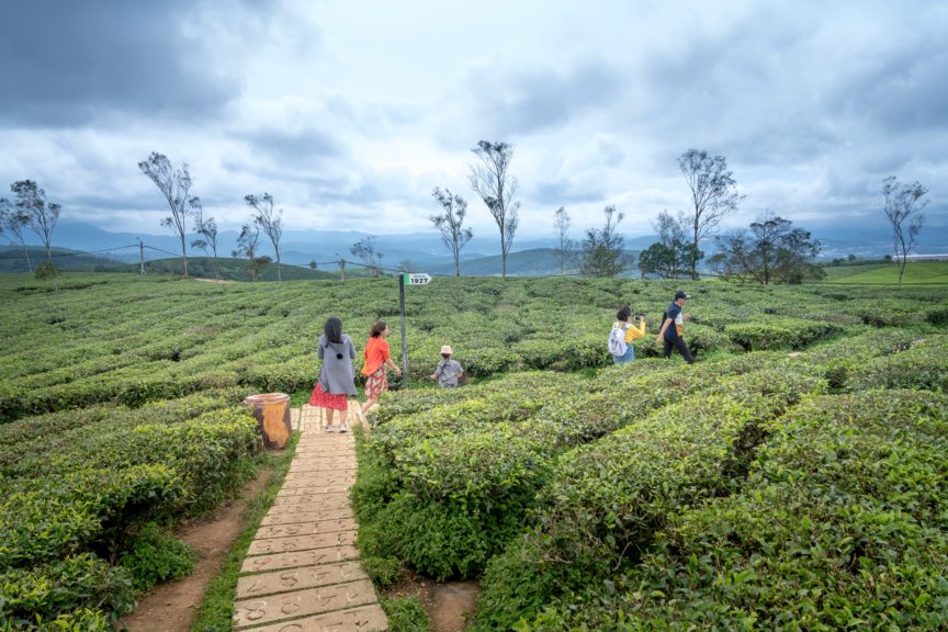 Things To Do In Thekkady India Someday Travels