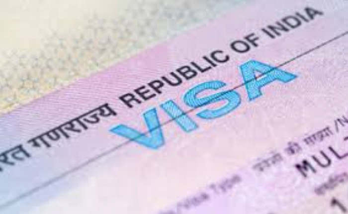 eligible for an OCI or a PIO type visa, Visa to India