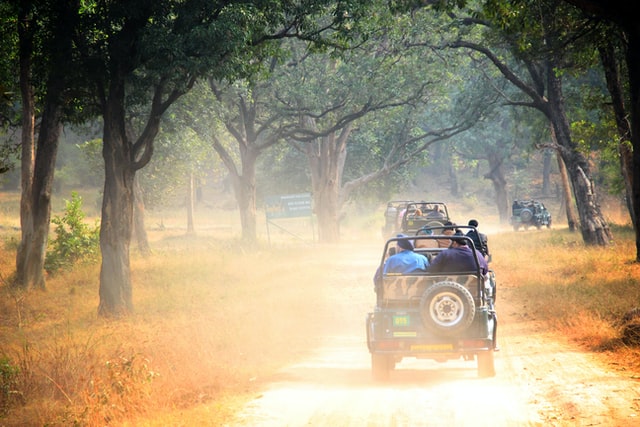 safari in India, Weather in India in November