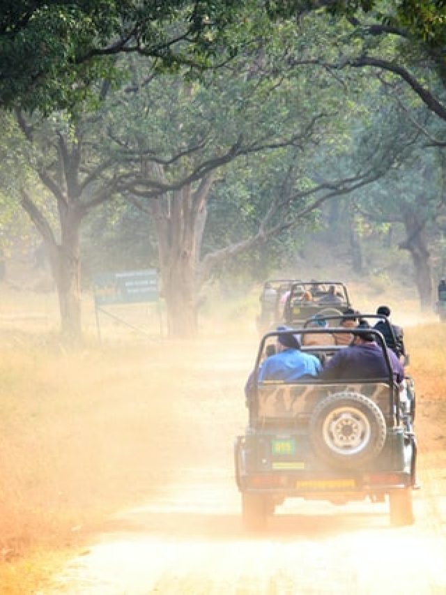 indien Safari