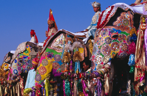 Elephants festival