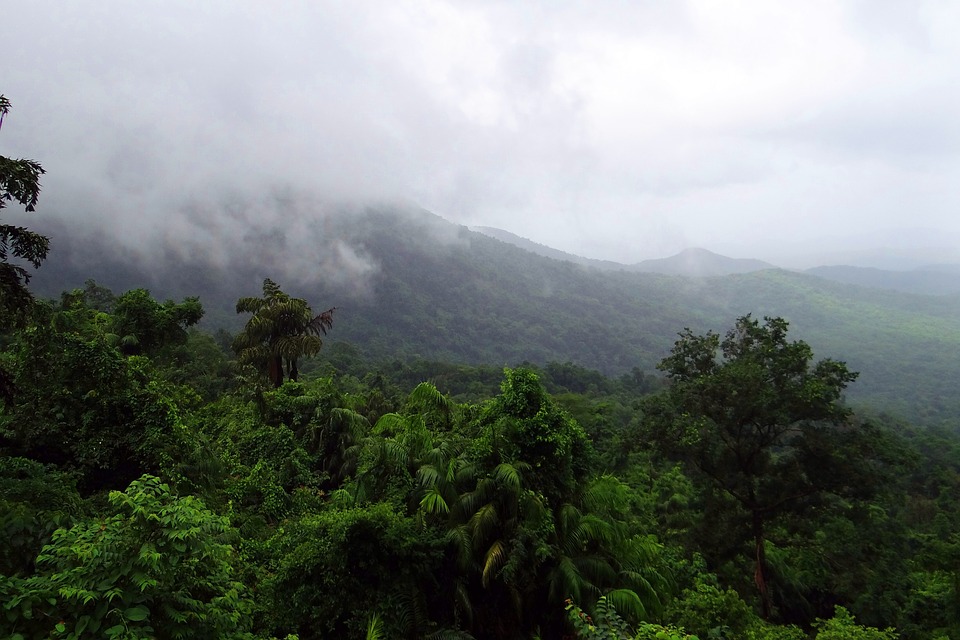 La mousson dans le Kerala - India Someday