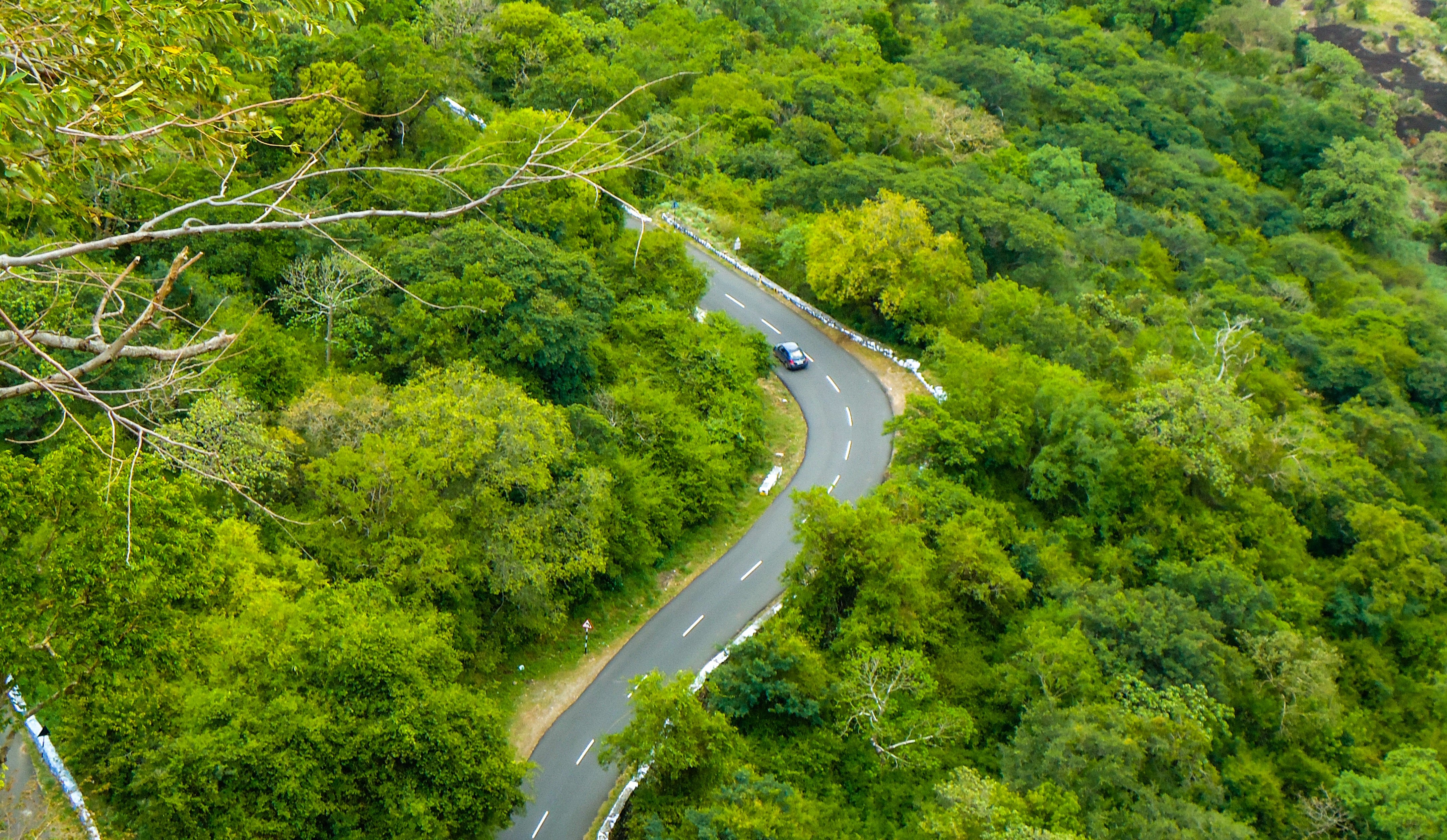 Traveling by Road in south India, getting from Chennai to Kerala