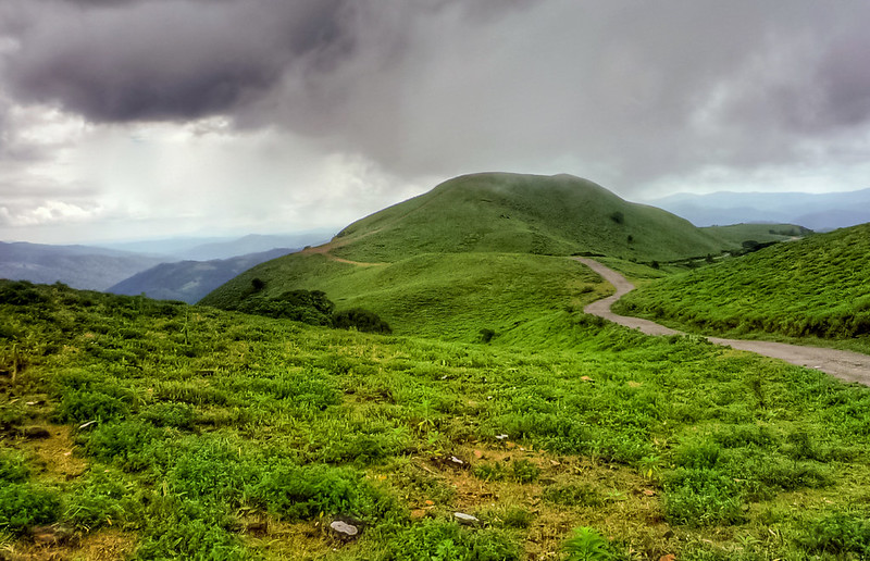 luscious hills, South India