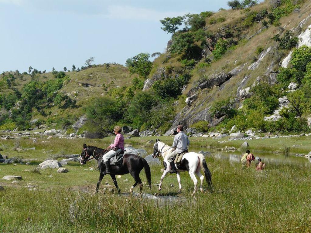 Udaipur horse riding 