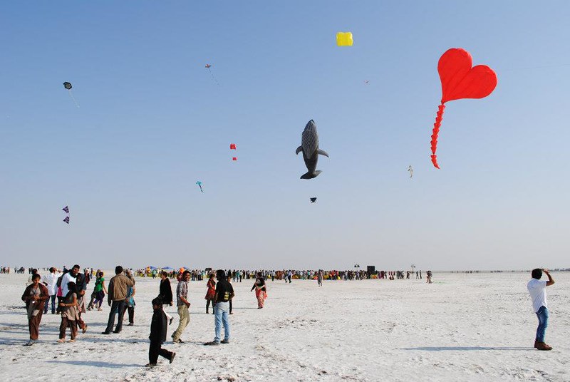 kite flying festival hd