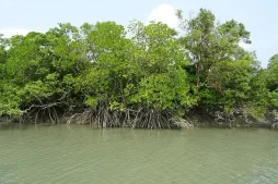 Into the Jungle: 8 Indian Wildlife Reserves you can't miss