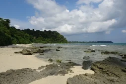 Into the Jungle: 8 Indian Wildlife Reserves you can't miss