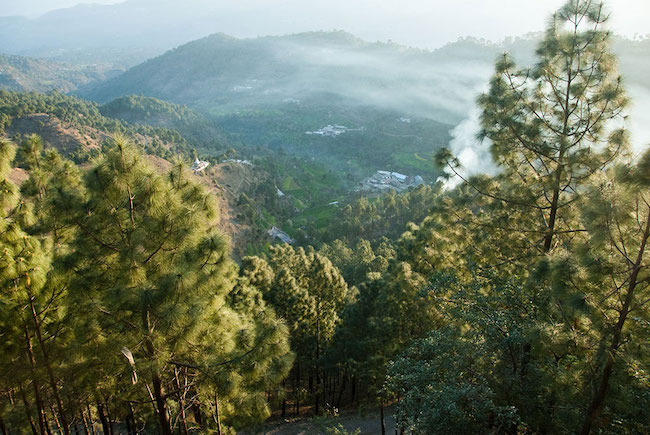 Himalaya Indien Kasauli