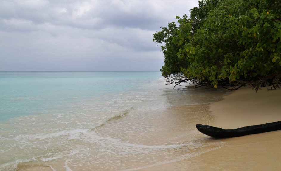 Entdeckt die Wunder der Natur in 8 großartigen Nationalparks in Indien