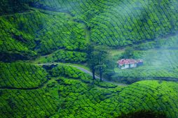 places to visit in kodaikanal in may