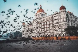 Weather in India in February