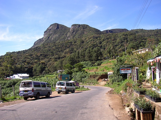 Mountain roads