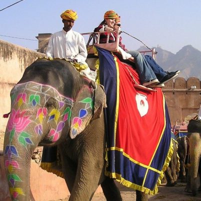 india-364_1280 (1) Image by Simon Steinberger from Pixabay