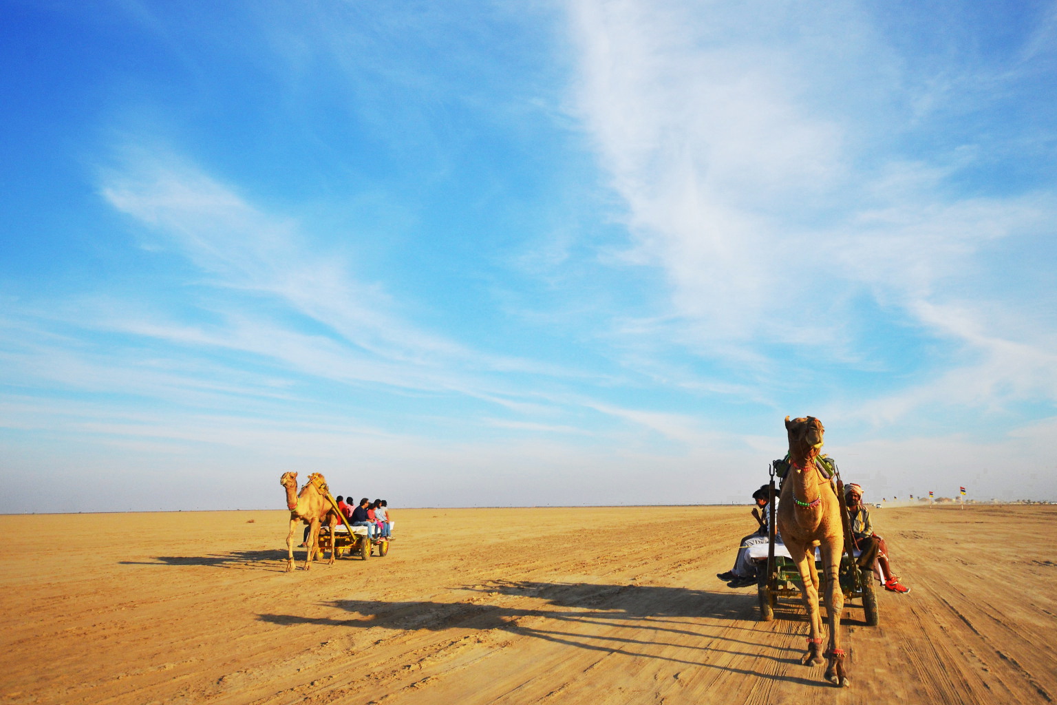 dessert camel safari, Beste Reisezeit Indien