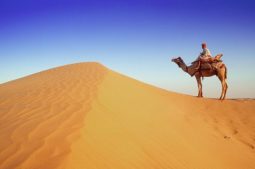 camel ride in Rajasthan