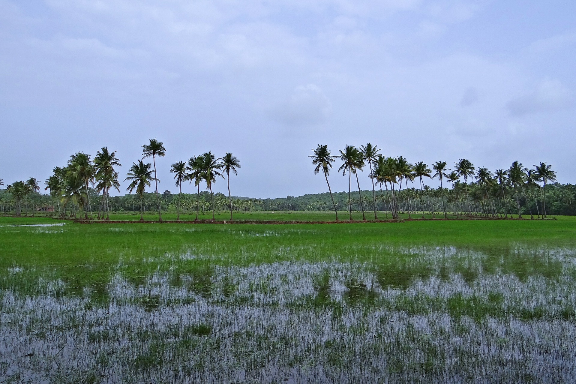 Goa During Off Season And During The Rains India Someday