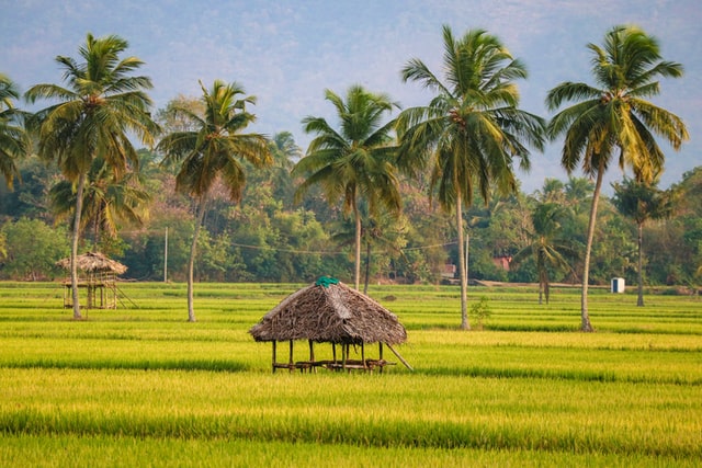 places to visit between munnar and alleppey