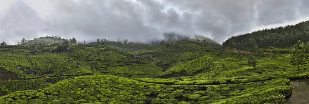 Munnar in Monsun