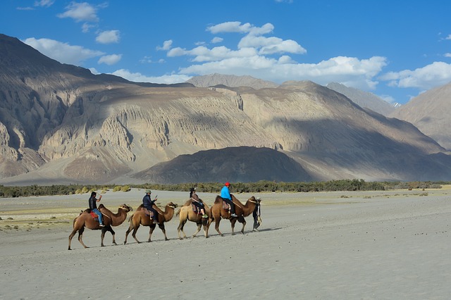 ladakh tourist places in tamil