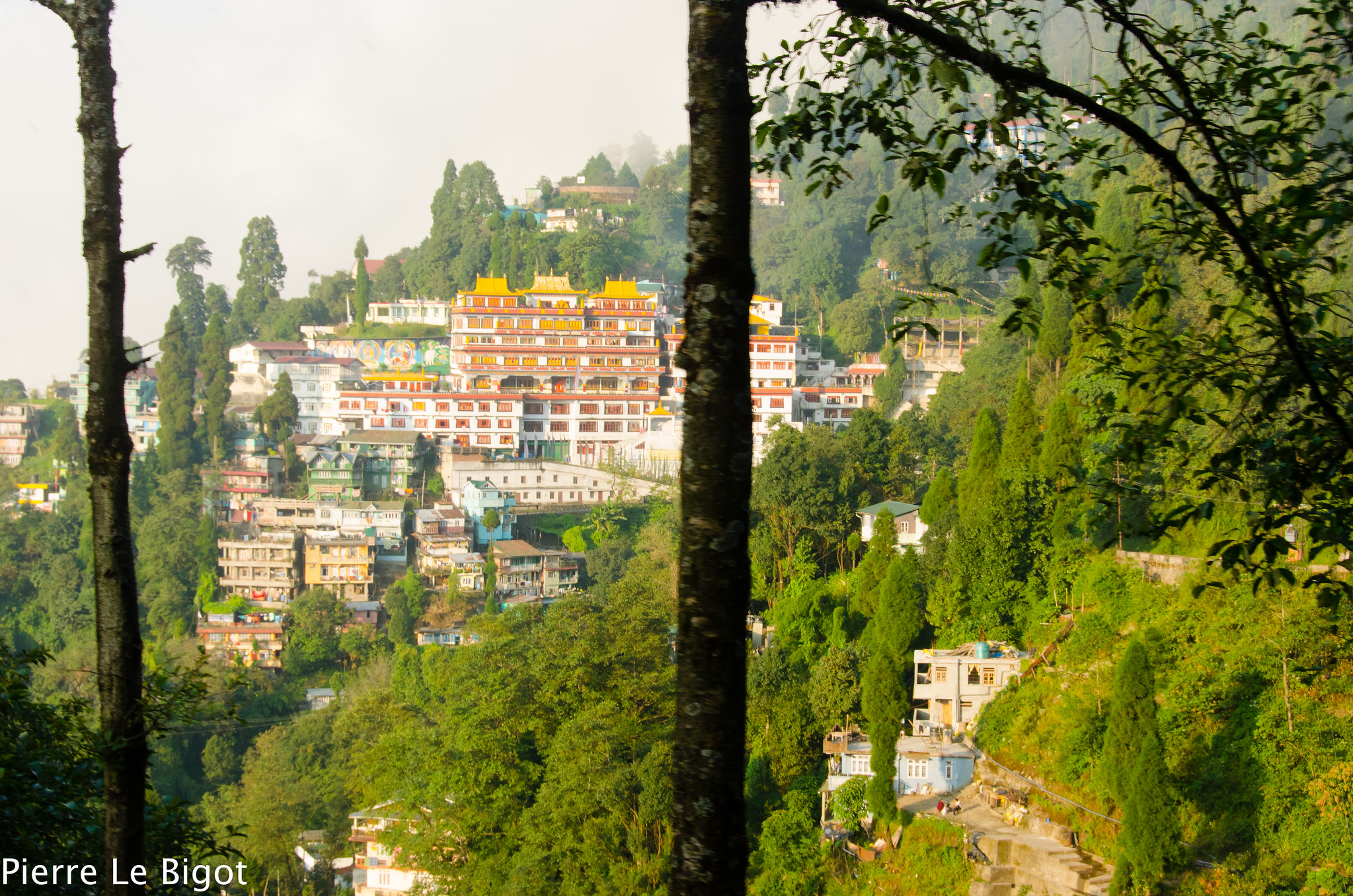 Darjelling, hill station in Northeast India