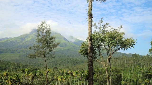 Misty mountain veiw, Adventure tours in South India