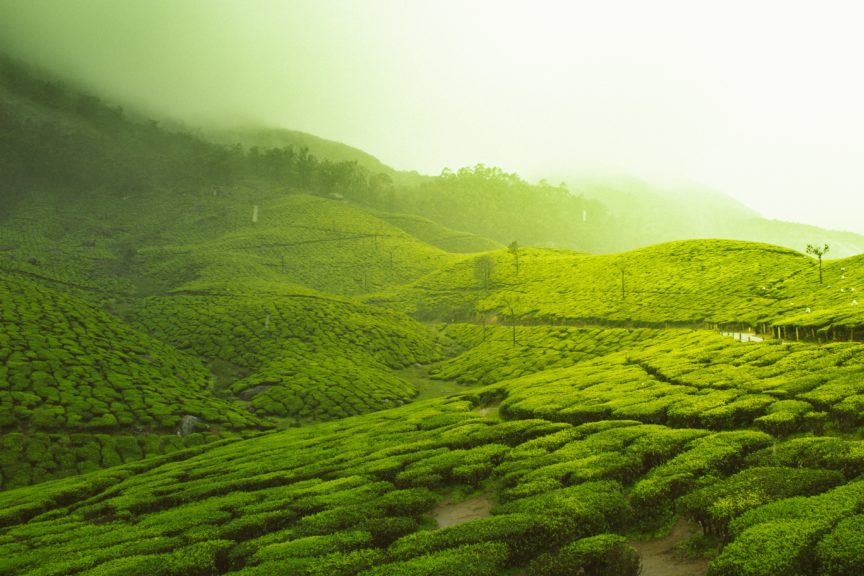 the best time to visit Kerala