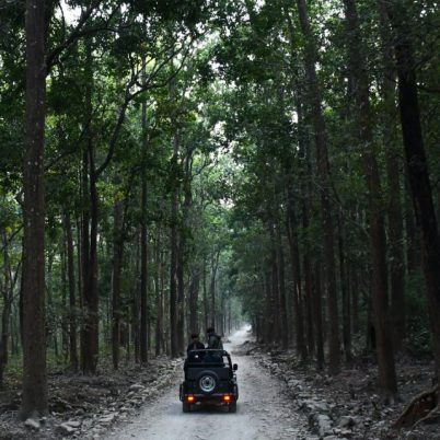 cropped-Jim-Corbett_Monument_Jungle_Photo-Credit-Ashish-Sangai.jpg