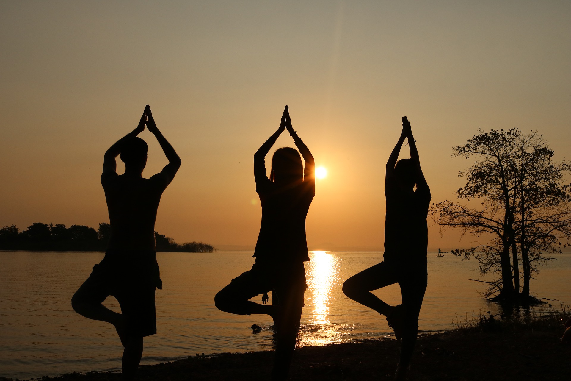 yoga tour india