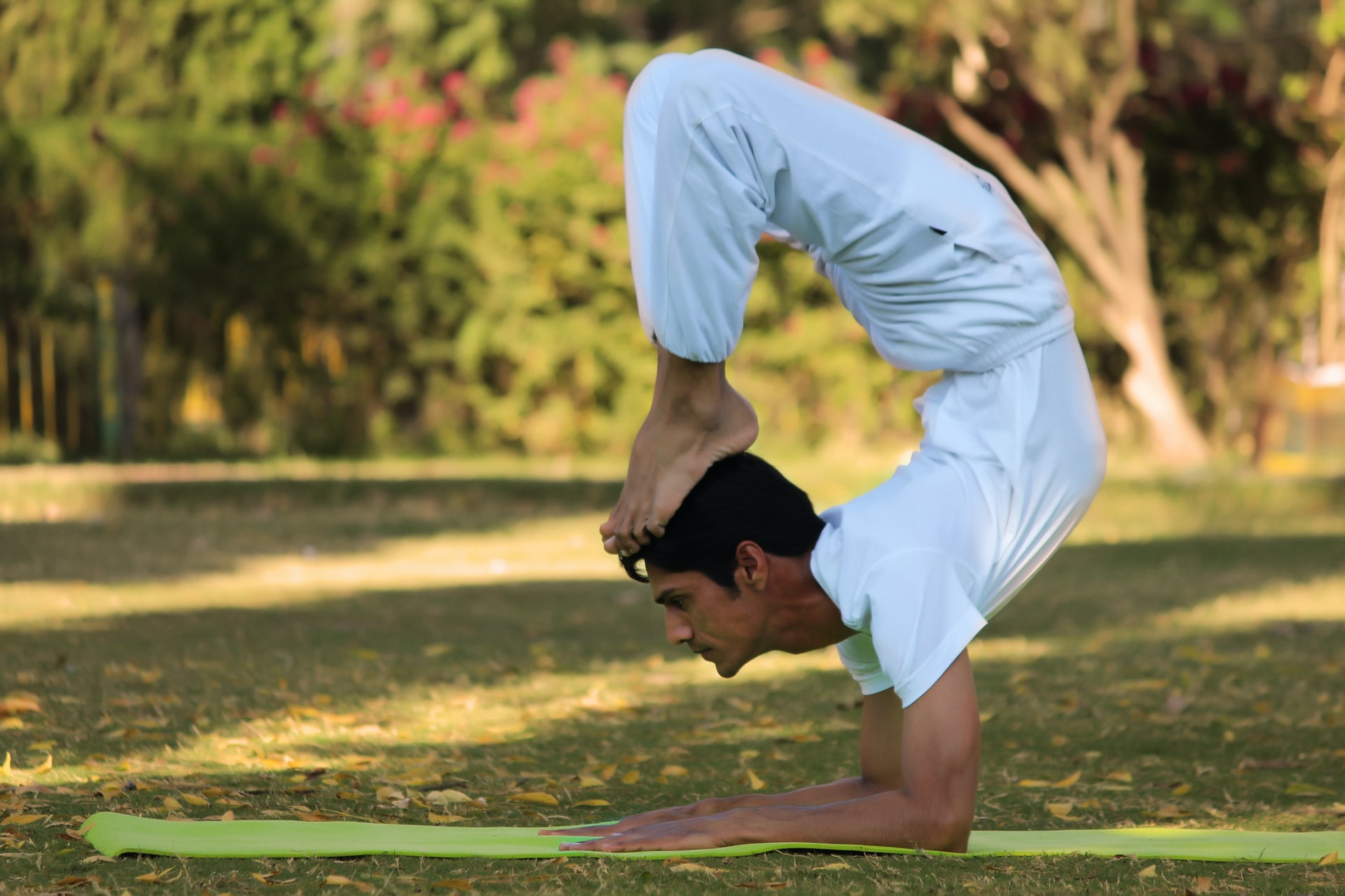 senior Indian man in yoga pose Stock Photo  Adobe Stock
