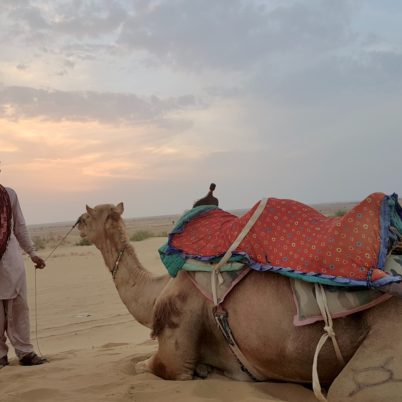 Sand Dunes in Jaisalmer, Camel safari in India, Things to do in Jaisalmer