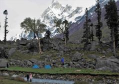 triund trek in Himachal Pradesh