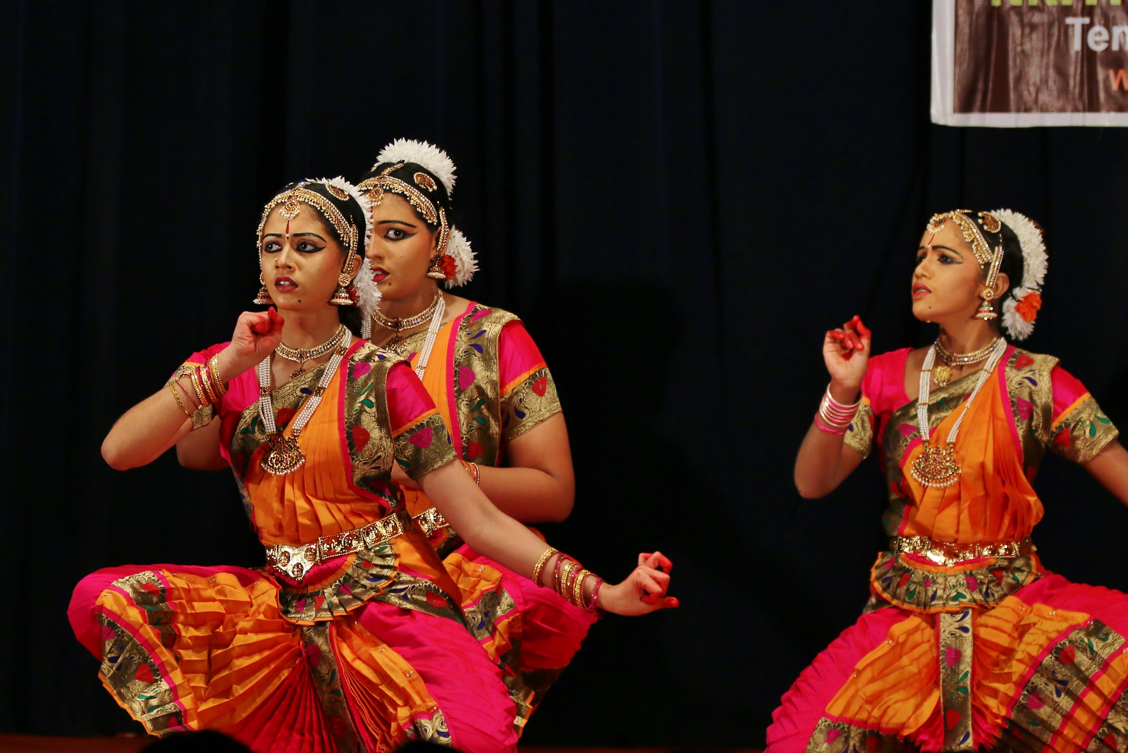 Dances in India, Bharatanatyam, Chennai, Mahabalipuram Dance Festival