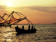 Things to do in Kochi