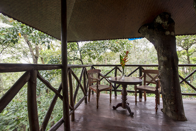 Treehouses in Kerala, Unique experiences in India