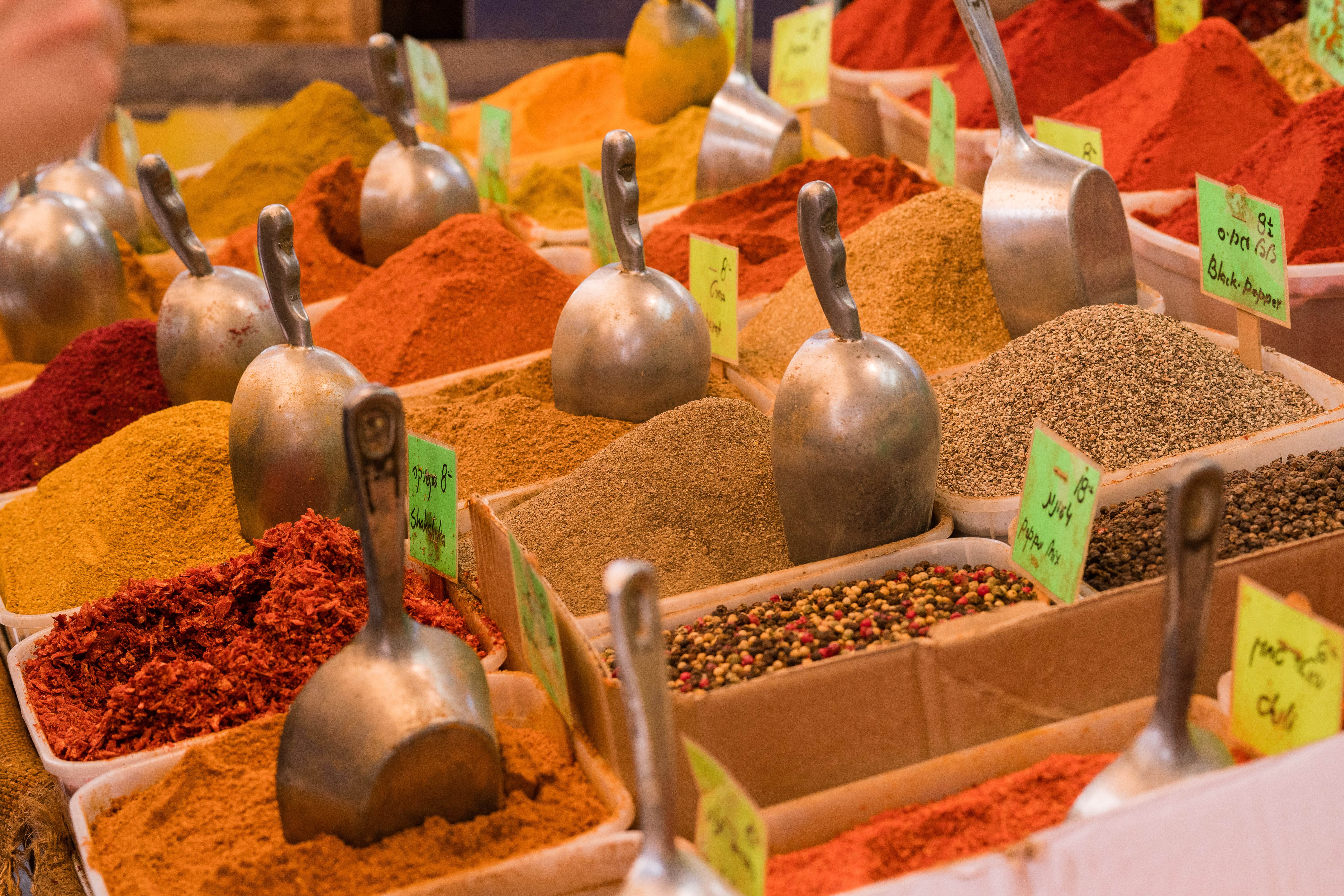 Activities to do in Kochi