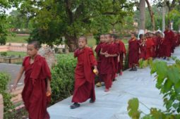 Things to do in Bodhgaya, India