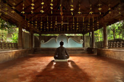 Yoga retreats in Kerala, India