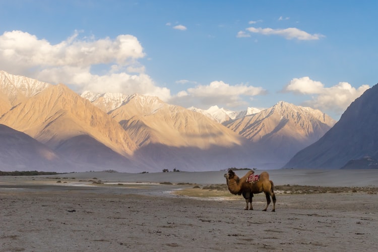 weather of ladakh in june