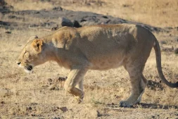 best places to visit in gujarat