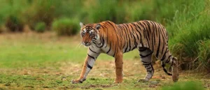 places to see in kerala