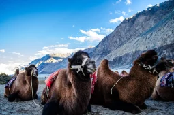 nubra guide