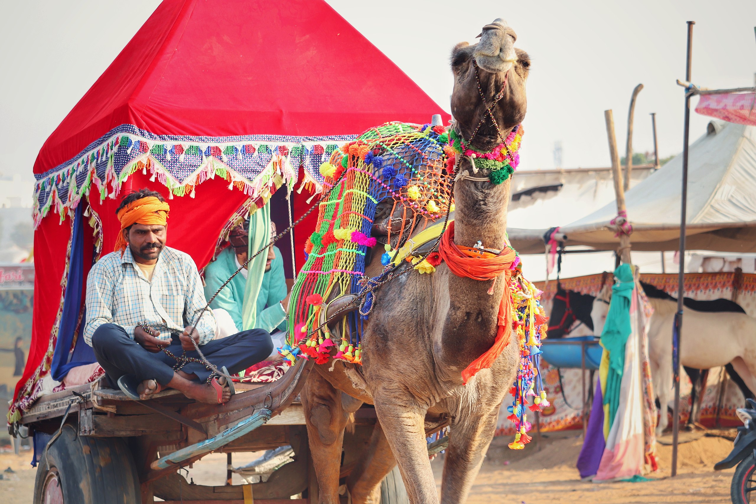 beste reisezeit rajasthan