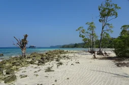 best time to visit andaman and nicobar islands