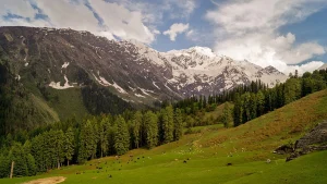 things to do in himachal pradesh