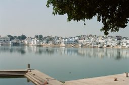 things to do in rajasthan