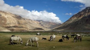 best time to visit spiti