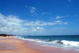 things to do in south goa