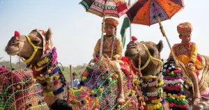 things to do in pushkar