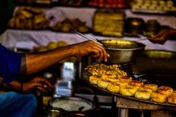 vegetarian food in india for foreigners